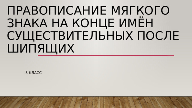 Правописание мягкого знака на конце имён существительных после шипящих 5 класс 