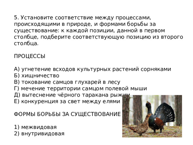 5. Установите соответствие между процессами, происходящими в природе, и формами борьбы за существование: к каждой позиции, данной в первом столбце, подберите соответствующую позицию из второго столбца. ПРОЦЕССЫ   А) угнетение всходов культурных растений сорняками  Б) хищничество  В) токование самцов глухарей в лесу  Г) мечение территории самцом полевой мыши  Д) вытеснение чёрного таракана рыжим  Е) конкуренция за свет между елями в лесу   ФОРМЫ БОРЬБЫ ЗА СУЩЕСТВОВАНИЕ   1) межвидовая  2) внутривидовая 