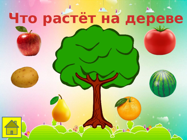 Что растёт на дереве 