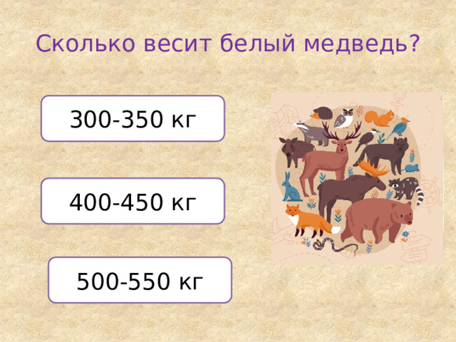 Сколько весит белый медведь? 300-350 кг 400-450 кг 500-550 кг 