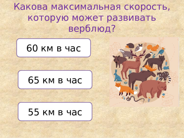 Какова максимальная скорость, которую может развивать верблюд? 60 км в час 65 км в час 55 км в час 