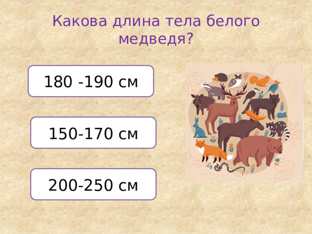 Какова длина тела белого медведя? 180 -190 см 150-170 см 200-250 см 