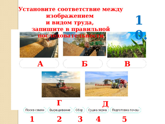Установите соответствие между изображением и видом труда, запишите в правильной последовательности 10. А Б В Г Д 1 2 3 4 5 