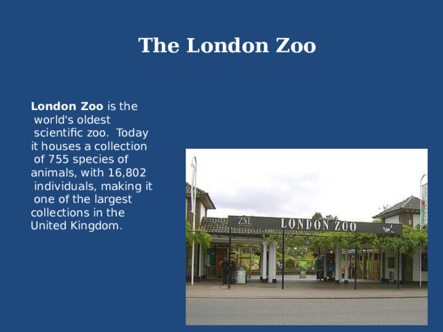 The London Zoo London Zoo is the  world's oldest  scientific zoo. Today it houses a collection  of 755 species of animals, with 16,802  individuals, making it  one of the largest collections in the United Kingdom. 