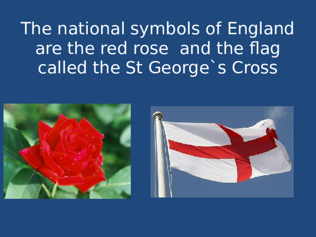 The national symbols of England are the red rose and the flag called the St George`s Cross   