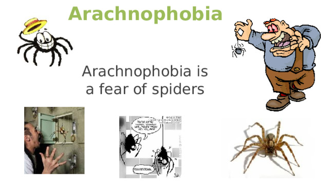 Arachnophobia Arachnophobia is a fear of spiders 5 