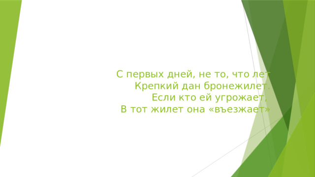 С первых дней, не то, что лет  Крепкий дан бронежилет.  Если кто ей угрожает,  В тот жилет она «въезжает»   