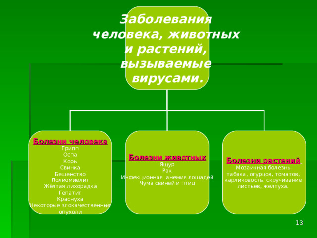 Заболевания  человека, животных  и растений,  вызываемые  вирусами. Болезни животных Болезни растений  Болезни человека Ящур Рак Инфекционная анемия лошадей Чума свиней и птиц Мозаичная болезнь табака, огурцов, томатов, карликовость, скручивание листьев, желтуха. Грипп Оспа Корь Свинка Бешенство Полиомиелит Жёлтая лихорадка Гепатит Краснуха Некоторые злокачественные опухоли 1. Мозаичная болезнь табака, огурцов, томатов, карликовость, скручивание  