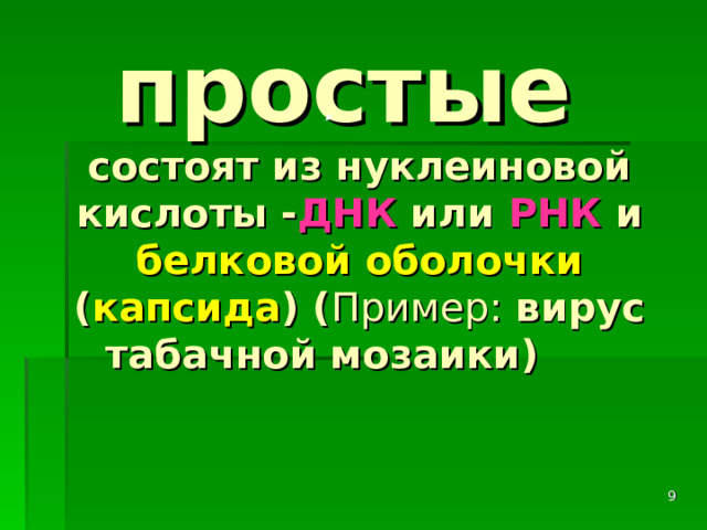     простые  состоят из нуклеиновой кислоты - ДНК или РНК и белковой оболочки ( капсида ) ( Пример: вирус табачной мозаики)    
