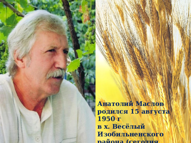 Анатолий Маслов родился 15 августа 1950 г в х. Весёлый Изобильненского района (сегодня посёлок Передовой) 