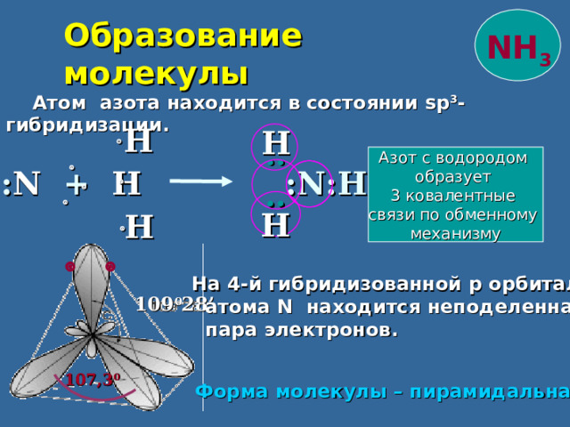 : : : : Образование молекулы NH 3  Атом азота находится в состоянии sp 3 - гибридизации.  Н Н Н  Азот с водородом образует 3 ковалентные связи по обменному механизму  : N  +   H  : N :Н   Н Н  Н  На 4-й гибридизованной p орбитали  атома N находится неподеленная  пара электронов. 109 0 28 ’ 107,3 0 Форма молекулы – пирамидальная. 