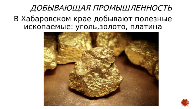 Добывающая промышленность В Хабаровском крае добывают полезные ископаемые: уголь,золото, платина 