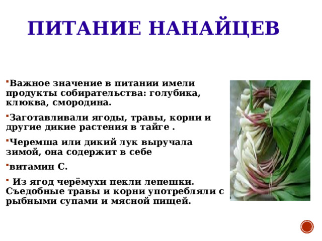 ПИТАНИЕ НАНАЙЦЕВ Важное значение в питании имели продукты собирательства: голубика, клюква, смородина. Заготавливали ягоды, травы, корни и другие дикие растения в тайге . Черемша или дикий лук выручала зимой, она содержит в себе витамин С.  Из ягод черёмухи пекли лепешки. Съедобные травы и корни употребляли с рыбными супами и мясной пищей. 