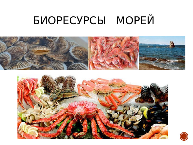 Биоресурсы морей 