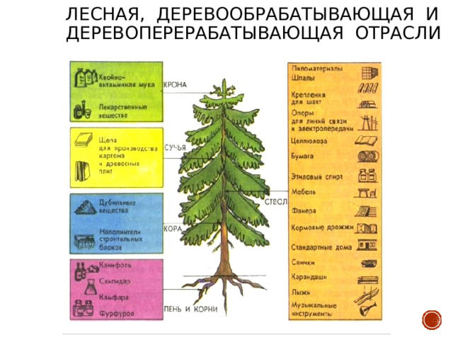 Лесная, деревообрабатывающая и деревоперерабатывающая отрасли 