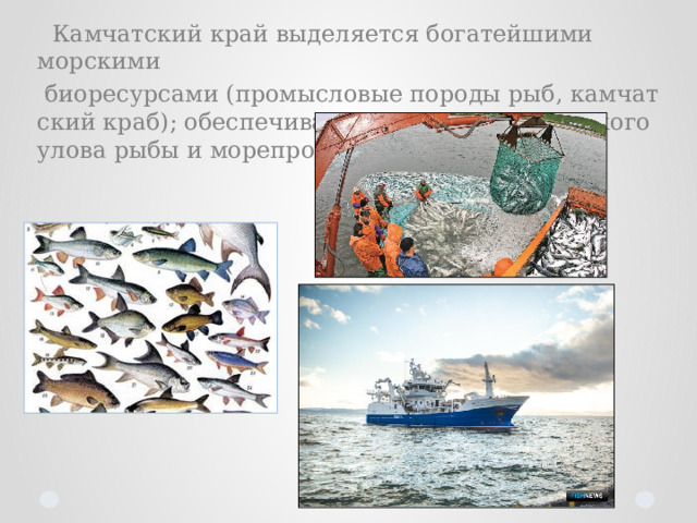  Камчатский край вы­де­ля­ет­ся бо­га­тей­ши­ми морскими  био­ре­сур­са­ми (про­мы­сло­вые по­ро­ды рыб, кам­чат­ский краб); обес­пе­чи­ва­ет около 19% российского уло­ва ры­бы и мо­ре­про­дук­тов. 