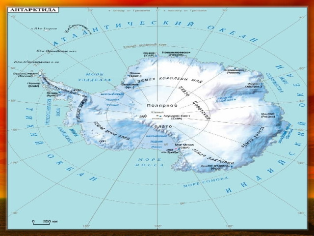 Прибрежные районы Антарктиды стали местом китобойного промысла 