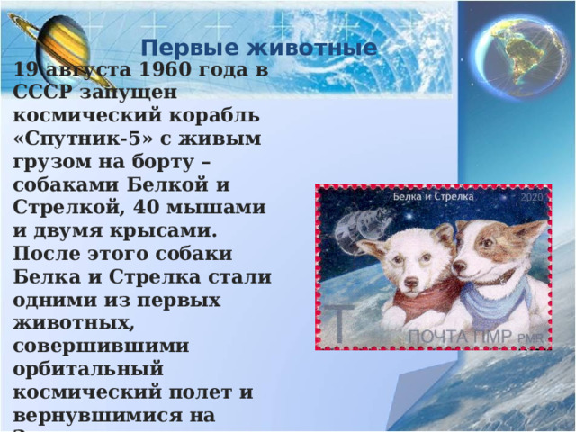 Первые животные 19 августа 1960 года в СССР запущен космический корабль «Спутник-5» с живым грузом на борту – собаками Белкой и Стрелкой, 40 мышами и двумя крысами. После этого собаки Белка и Стрелка стали одними из первых животных, совершившими орбитальный космический полет и вернувшимися на Землю невредимыми. 