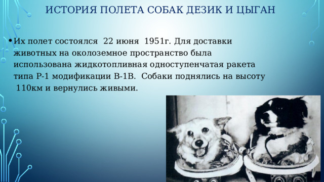 История полета собак Дезик и Цыган Их полет состоялся 22 июня 1951г. Для доставки животных на околоземное пространство была использована жидкотопливная одноступенчатая ракета типа Р-1 модификации В-1В. Собаки поднялись на высоту 110км и вернулись живыми. 