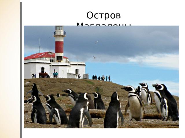 Остров Магдалены 