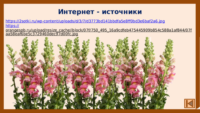 Интернет - источники https:// 2sotki.ru/wp-content/uploads/d/3/7/d3773bd141bbdfa5e8ff0bd3e6baf2a6.jpg https :// orangespb.ru/upload/resize_cache/iblock/07f/750_495_16a9cdfeb475445909b854c588a1af844/07faa58eaf6be5c3729460dec97d00fc.jpg  