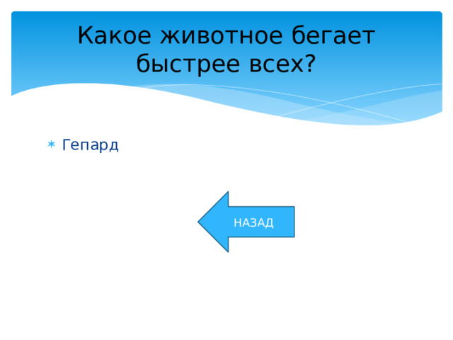 Какое животное бегает быстрее всех? Гепард НАЗАД 