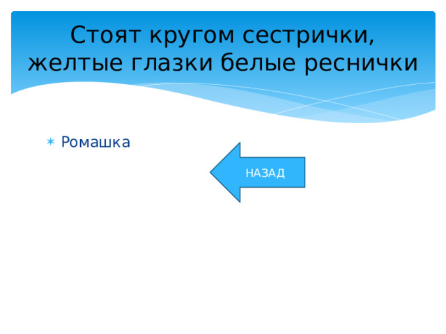 Стоят кругом сестрички, желтые глазки белые реснички Ромашка НАЗАД 