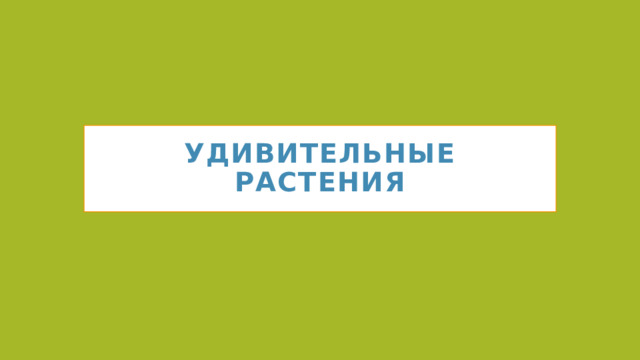 УДИВИТЕЛЬНЫЕ РАСТЕНИЯ 