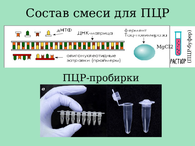 Состав смеси для ПЦР ( ПЦР-буфер) MgCl2 ПЦР-пробирки 