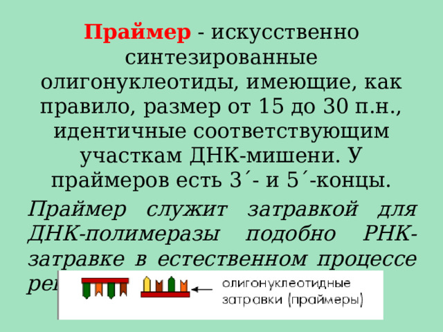 Праймер - искусственно синтезированные олигонуклеотиды, имеющие, как правило, размер от 15 до 30 п.н., идентичные соответствующим участкам ДНК-мишени. У праймеров есть 3ˊ- и 5ˊ-концы. Праймер служит затравкой для ДНК-полимеразы подобно РНК-затравке в естественном процессе репликации. 