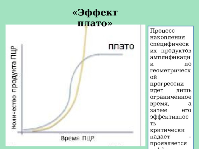 «Эффект плато» Процесс накопления специфических продуктов амплификации по геометрической прогрессии идет лишь ограниченное время, а затем его эффективность критически падает – проявляется «эффект плато». 