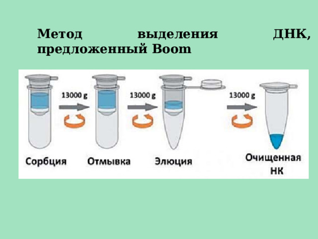 Метод выделения ДНК, предложенный Boom 