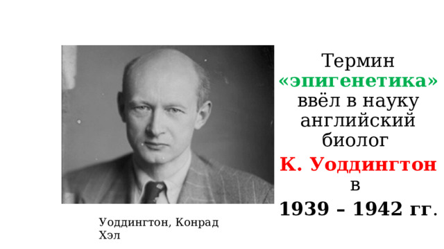 Термин «эпигенетика» ввёл в науку английский биолог К. Уоддингтон в 1939 – 1942 гг .   Уоддингтон, Конрад Хэл 