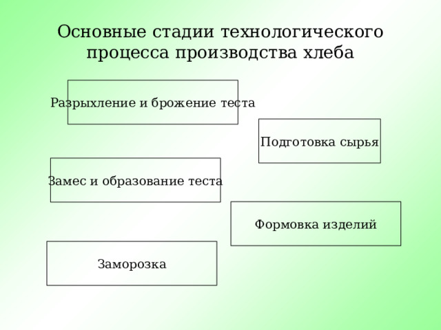 Основные стадии технологического процесса производства хлеба Разрыхление и брожение теста Подготовка сырья Замес и образование теста Формовка изделий Заморозка 