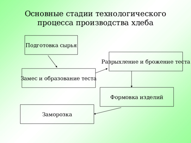 Основные стадии технологического процесса производства хлеба Подготовка сырья Разрыхление и брожение теста Замес и образование теста Формовка изделий Заморозка 