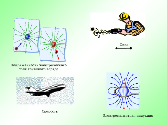 Сила Напряженность электрического поля точечного заряда Скорость Электромагнитная индукция 