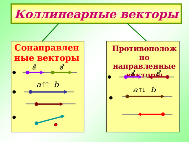 Коллинеарные векторы Сонаправленные векторы  Противоположно направленные векторы в а а в 
