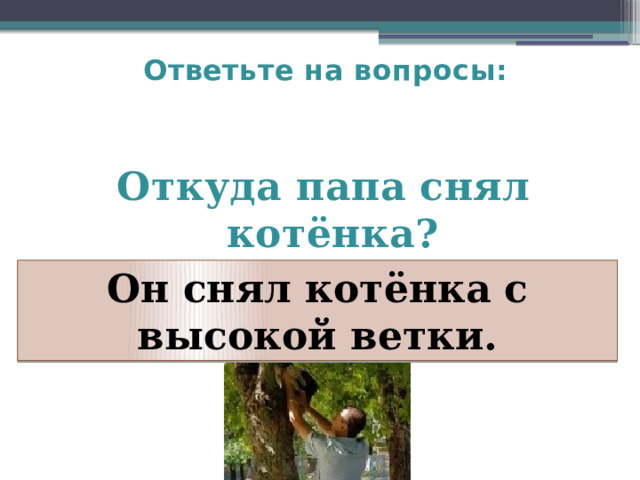 Ответьте на вопросы:   Откуда папа снял котёнка? Он снял котёнка с высокой ветки. 