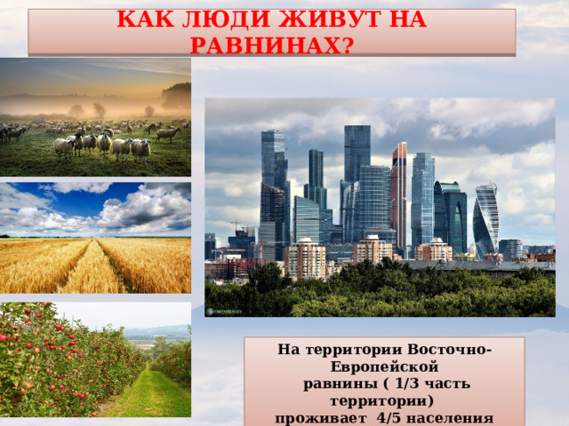 Как люди живут на равнинах? На территории Восточно-Европейской  равнины ( 1/3 часть территории) проживает 4/5 населения страны 