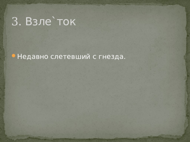 3. Взле`ток Недавно слетевший с гнезда. 