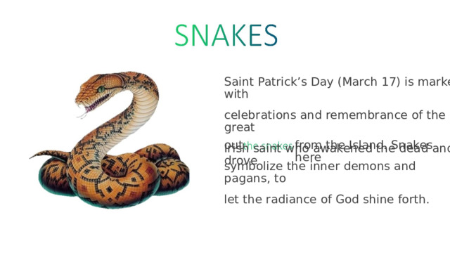 Saint  Patrick’s  Day  (March  17)  is  marked  with celebrations  and  remembrance  of  the  great Irish  saint  who  awakened  the  dead  and  drove out from  the  Island.  Snakes  here symbolize  the  inner  demons  and  pagans,  to let  the  radiance  of  God  shine  forth. 