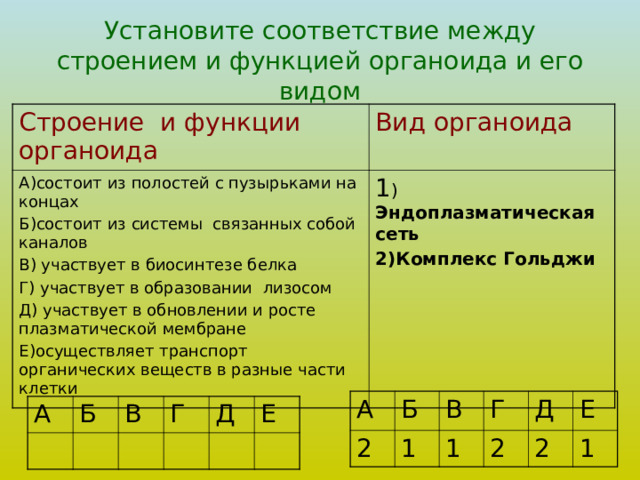 Установите соответствие между строением и функцией органоида и его видом Строение и функции органоида Вид органоида А)состоит из полостей с пузырьками на концах Б)состоит из системы связанных собой каналов В) участвует в биосинтезе белка Г) участвует в образовании лизосом Д) участвует в обновлении и росте плазматической мембране Е)осуществляет транспорт органических веществ в разные части клетки 1 ) Эндоплазматическая сеть 2)Комплекс Гольджи А 2 Б 1 В Г 1 2 Д 2 Е 1 А Б В Г Д Е 