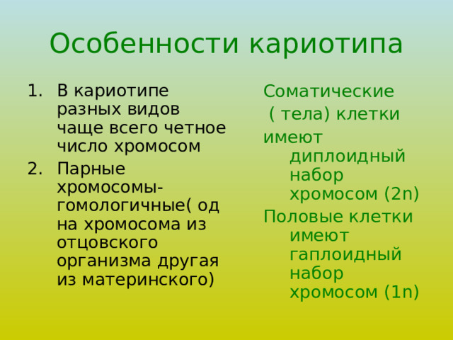 Особенности кариотипа В кариотипе разных видов чаще всего четное число хромосом Парные хромосомы- гомологичные( одна хромосома из отцовского организма другая из материнского) Соматические  ( тела) клетки имеют диплоидный набор хромосом (2 n) Половые клетки имеют гаплоидный набор хромосом (1 n) 