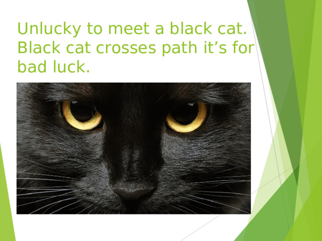 Unlucky to meet a black cat. Black cat crosses path it’s for bad luck. 