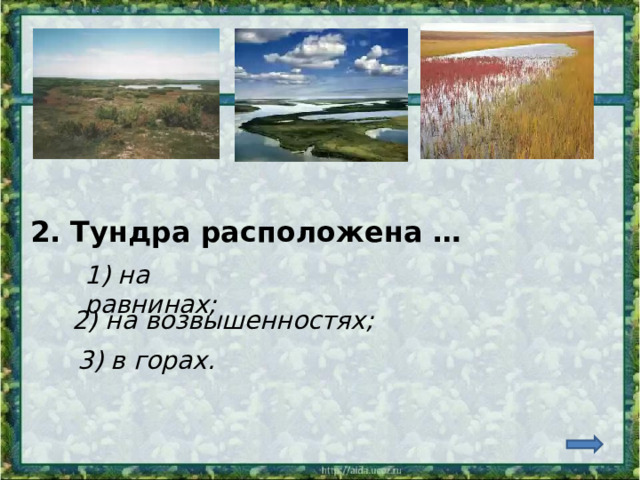 2. Тундра расположена … 1) на равнинах; 2) на возвышенностях; 3) в горах. 