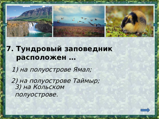 7. Тундровый заповедник  расположен … 1) на полуострове Ямал; 2) на полуострове Таймыр; 3) на Кольском полуострове. 