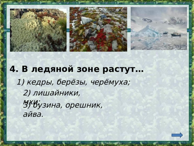 4. В ледяной зоне растут… 1) кедры, берёзы, черёмуха; 2) лишайники, мхи; 3) бузина, орешник, айва. 