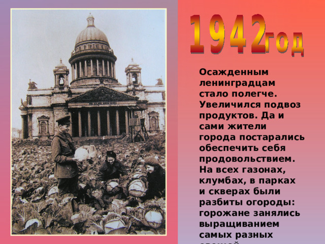 Осажденным ленинградцам стало полегче. Увеличился подвоз продуктов. Да и сами жители города постарались обеспечить себя продовольствием. На всех газонах, клумбах, в парках и скверах были разбиты огороды: горожане занялись выращиванием самых разных овощей. 