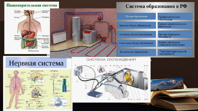 Расшифруйте анаграмму: ИТСЕАМС СИСТЕМА