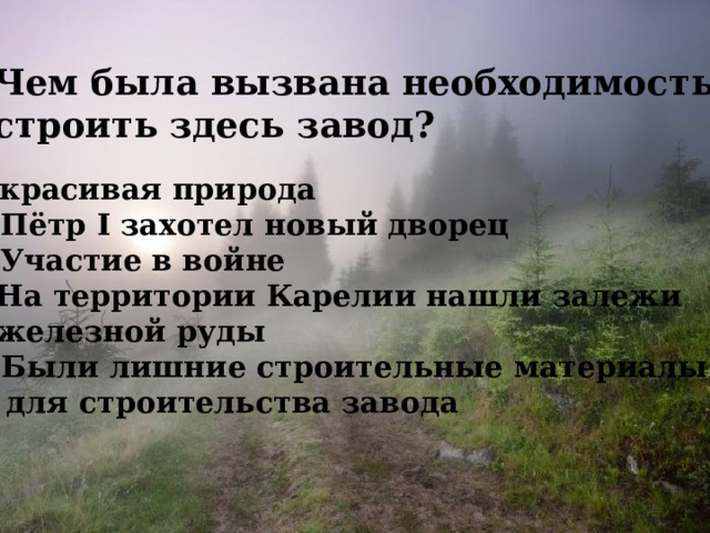 6. Чем была вызвана необходимость построить здесь завод?  А. красивая природа Б. Пётр I захотел новый дворец В. Участие в войне Г. На территории Карелии нашли залежи  железной руды Д. Были лишние строительные материалы  для строительства завода 